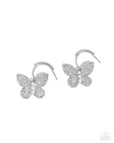 butterfly-boundary-white