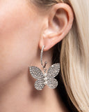 butterfly-boundary-white