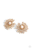 fancy-fireworks-gold