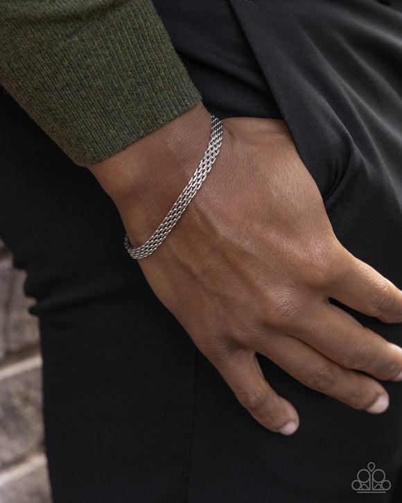 chained-constitution-silver