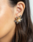 well-established-whimsy-multi