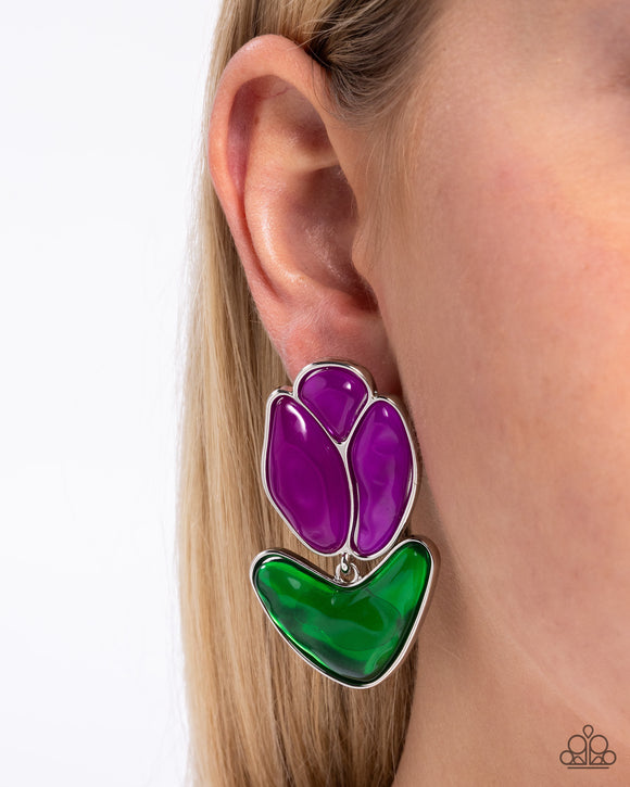 tulip-triumph-purple