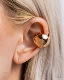 american-curl-gold