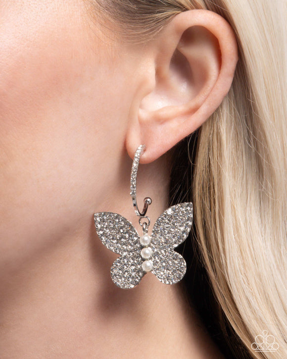 butterfly-boundary-white