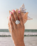 seashell-side-white