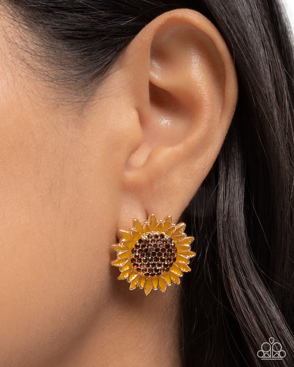 blooming-beat-brown