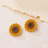 blooming-beat-brown