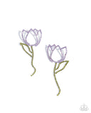 tulip-transcendence-purple