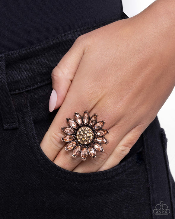 sunflower-setting-copper