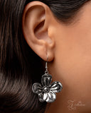 inquisitive-zi-collection