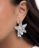 starfish-sensation-blue