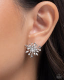firework-flair-white