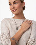 mountain-climb-silver