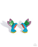 hummingbird-honor-multi