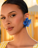 balanced-blooms-blue