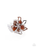 shell-staccato-brown