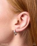 stainless-setup-silver
