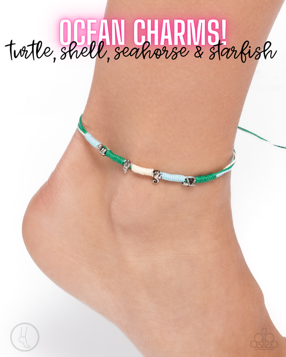 Turtle Task • Multicolor