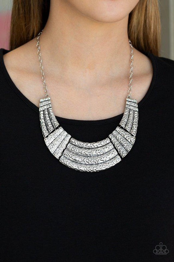 Ready To Pounce • Silver