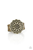Desert Sunflower • Brass