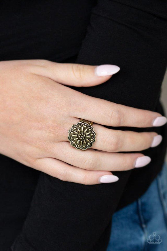 Desert Sunflower • Brass