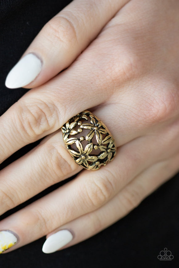 Haute Havana • Brass