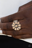 Stone Gardenia • Brown