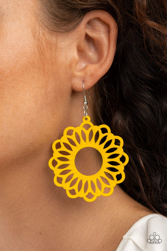 Dominican Daisy • Yellow
