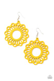 Dominican Daisy • Yellow