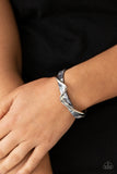 Craveable Curves • Silver