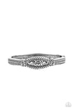 Locked in Luster • Silver