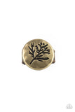 branched-out-beauty-brass