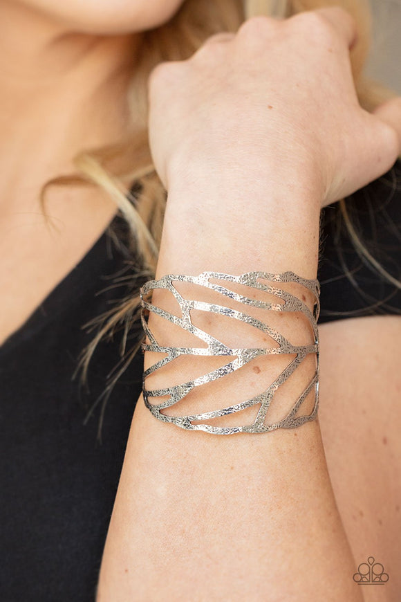 FLOCK, Stock, and Barrel • Silver