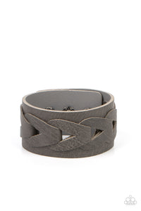 horse-and-carriage-silver