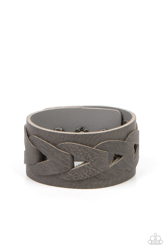 horse-and-carriage-silver