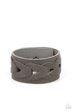 horse-and-carriage-silver