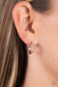 starfish-showpiece-multi