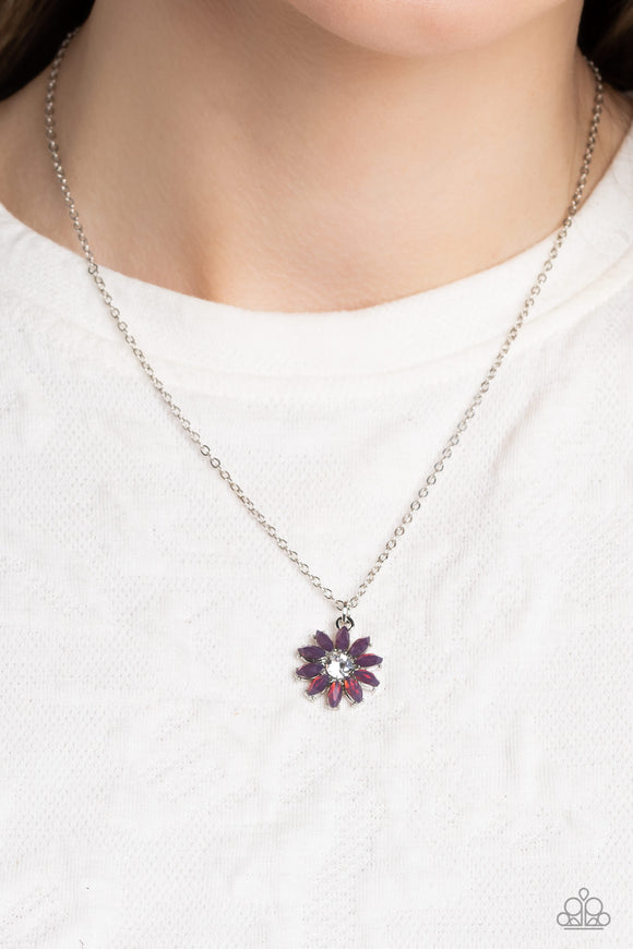 daisy-diva-purple
